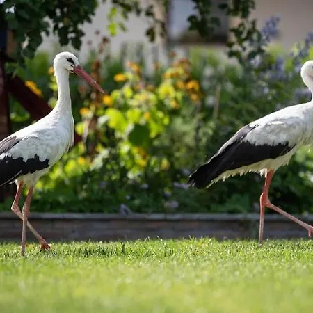 Summer House By The Sea With Bbq Świerzno