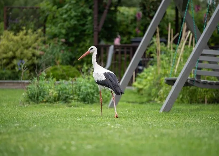 Summer House By The Sea With Bbq